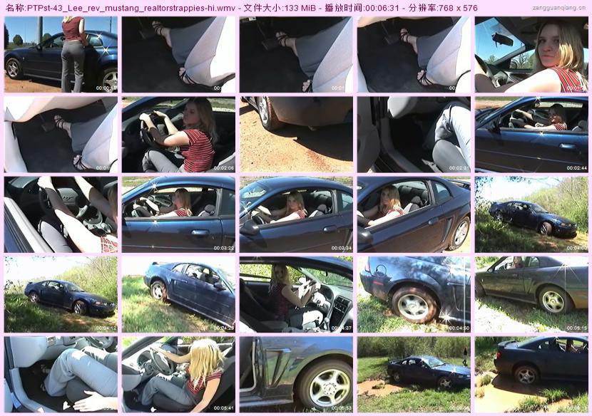 ptpst-43_Lee_rev_mustang_realtorstrappies
